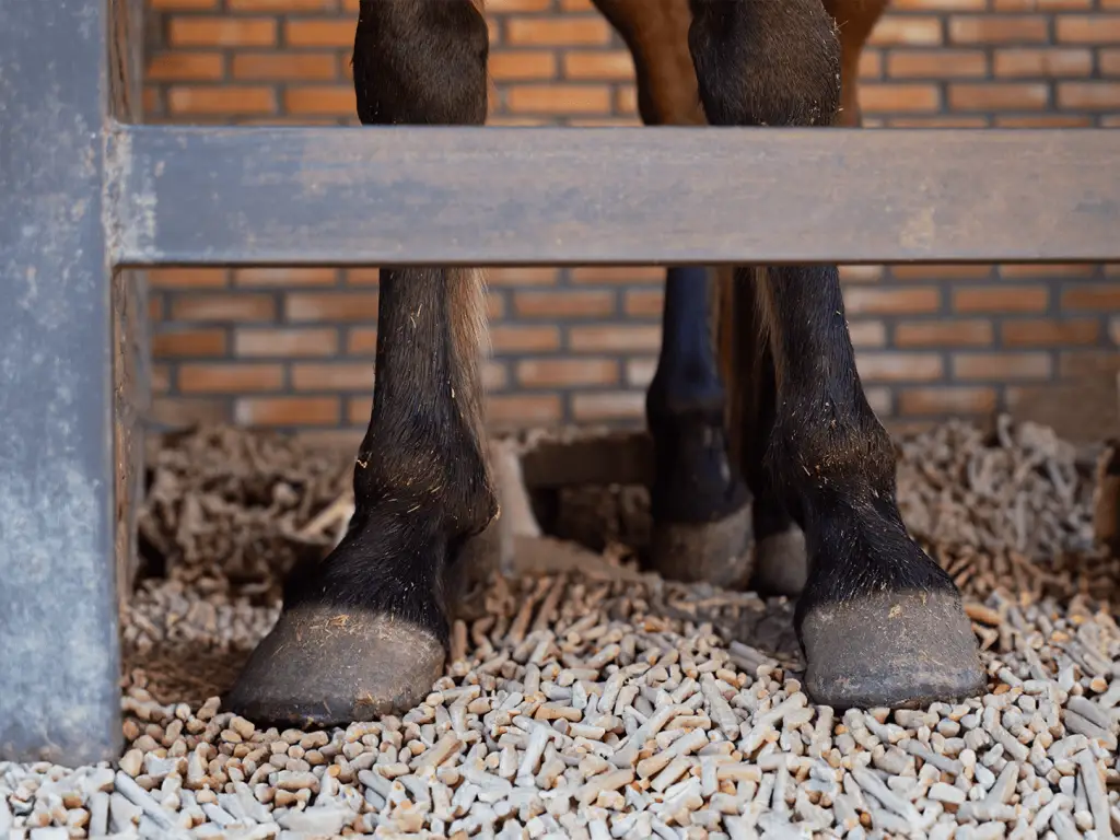 litiere-chevaux-en-granules-de-bois.png